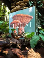 Pilzfest